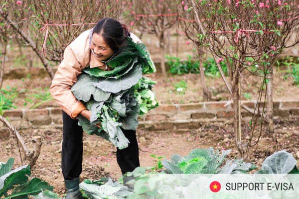 Vietnam E-Visa for Multi-City Trips: How to Avoid Entry Mistakes