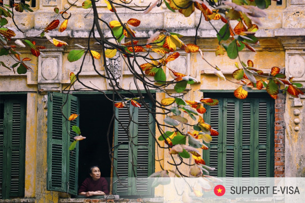 Is Your Vietnam E-Visa Fake? How to Spot Scams & Unofficial Sites