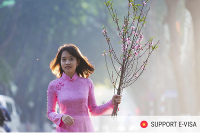 How Digital Nomads Optimize Their Vietnam E-Visa Using Modern Travel Apps