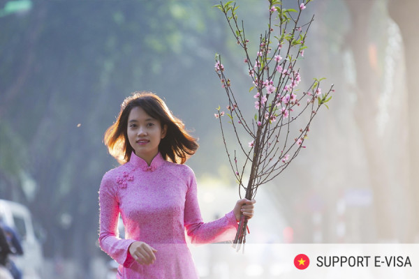 How Digital Nomads Optimize Their Vietnam E-Visa Using Modern Travel Apps