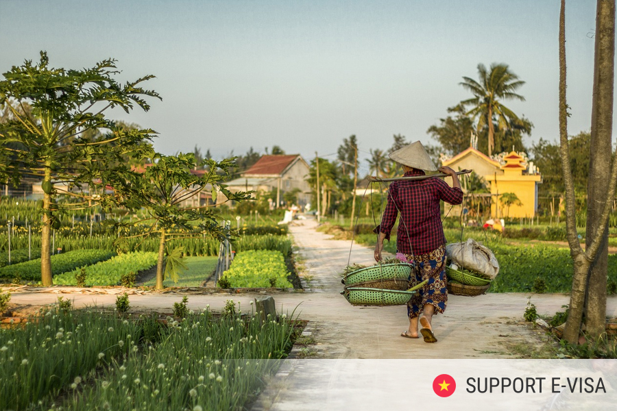 Corporate Vietnam E-Visa: How Companies Can Handle Multiple Applications Fast