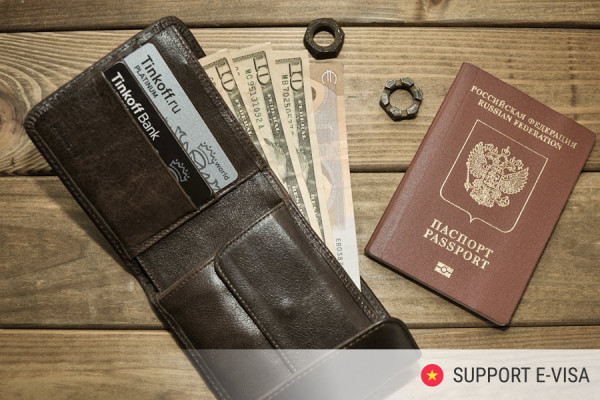How SupportEvisa Simplifies the Vietnam E-Visa Process for Families