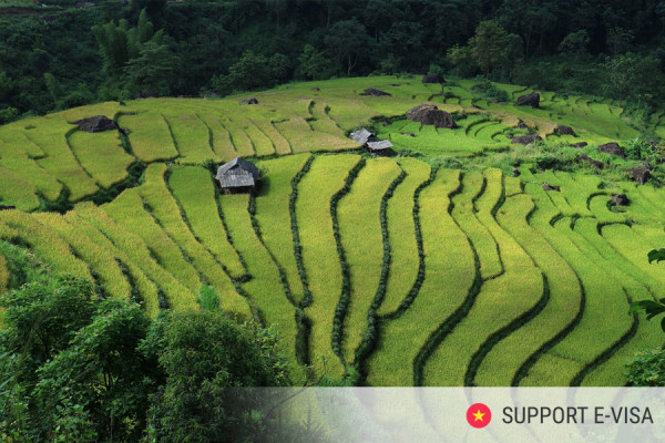 Last-Minute Travel Plans? Here’s How to Avoid Visa Stress During Vietnam Holidays